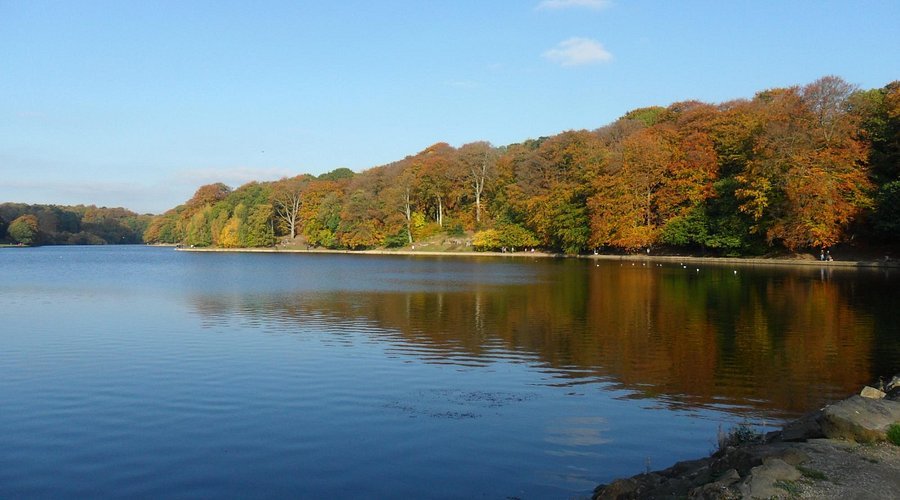 ROUNDHAY PARK