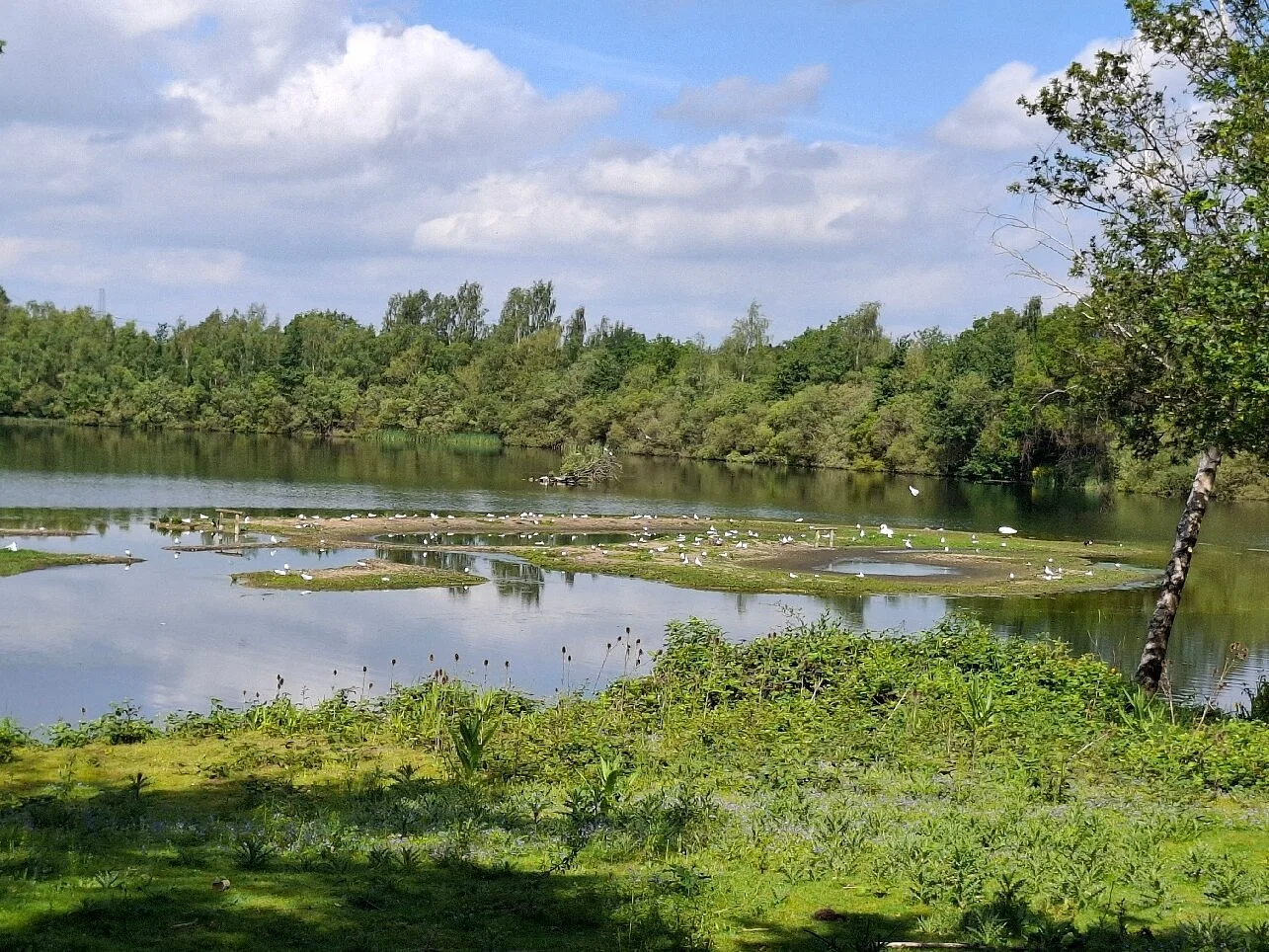 Whisby Nature Park