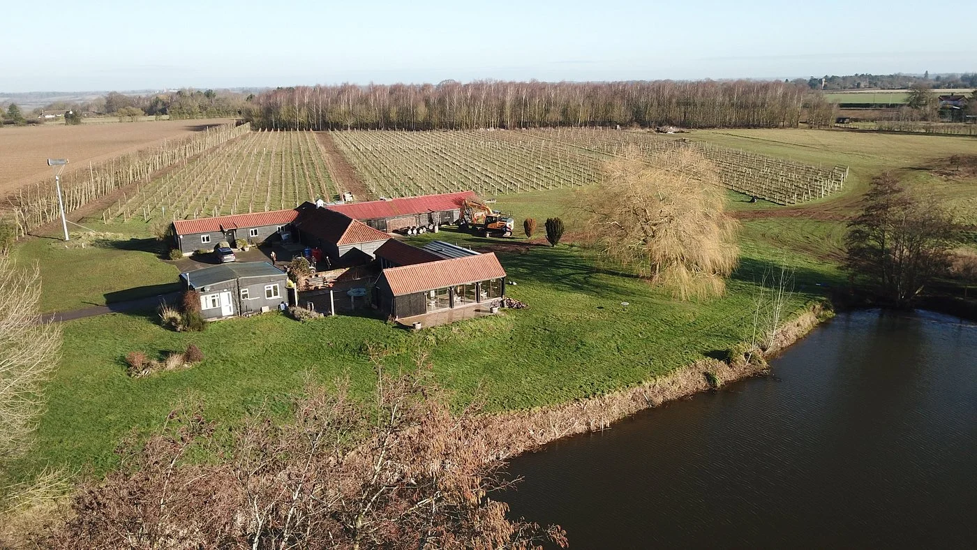 Dedham Vale