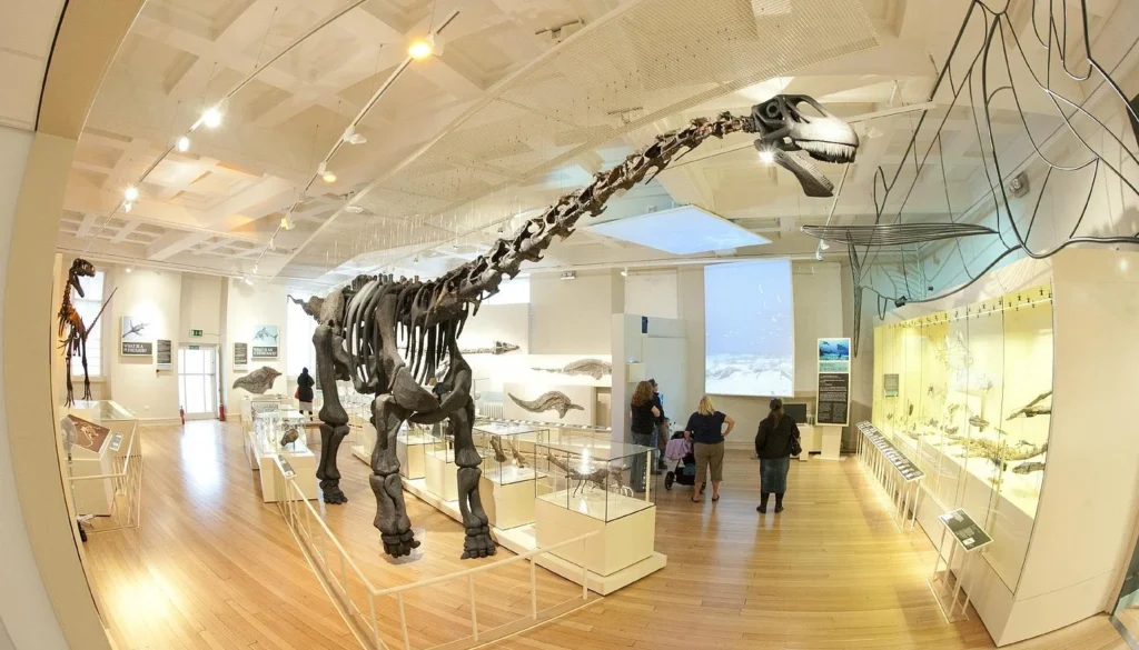 Leicester Museum & Art Gallery