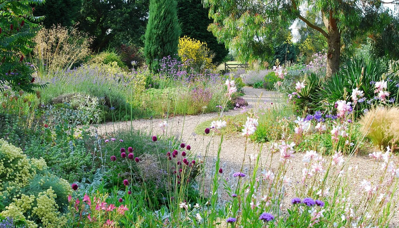 Beth Chatto's Plants & Gardens