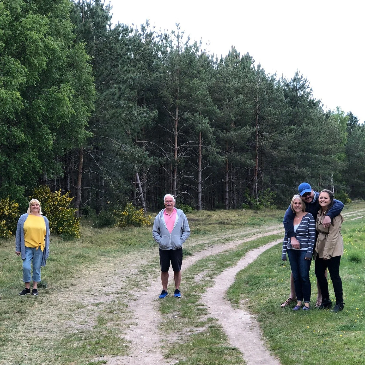 Thetford Forest