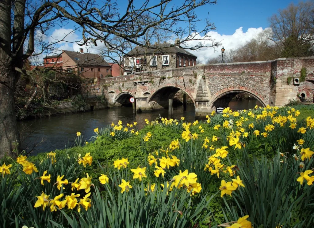 Norwich